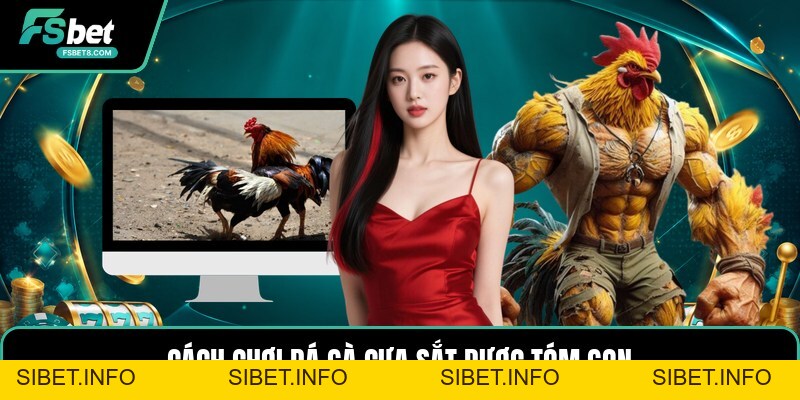 Cách Chơi Đá Gà Cựa Sắt - Hướng Dẫn Đặt Cược Chi Tiết - SIBET.INFO