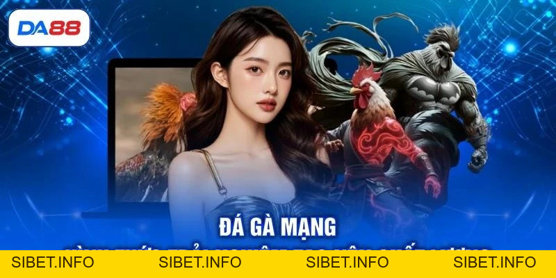 Đá Gà Mạng - Hình Thức Trải Nghiệm Tạo Nên Chất Lượng - SIBET.INFO Đá Gà Mạng - Hình Thức Trải Nghiệm Tạo Nên Chất Lượng - SIBET.INFO