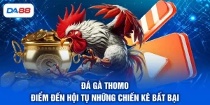 Đá Gà DA88 - Sảnh Cược Chọi Kê Trực Tiếp Đẳng Cấp Số 1 - SIBET.INFO