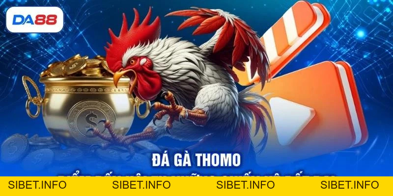 Đá Gà Thomo - Điểm Đến Hội Tụ Những Chiến Kê Bất Bại - SIBET.INFO Đá Gà Thomo - Điểm Đến Hội Tụ Những Chiến Kê Bất Bại - SIBET.INFO