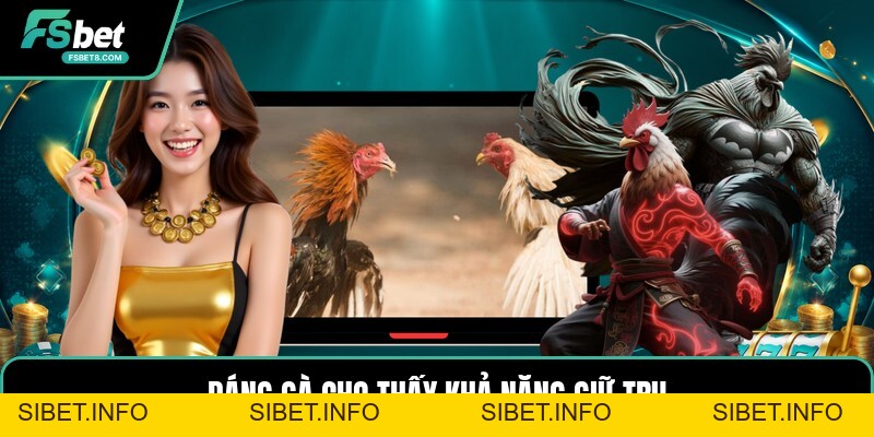 Cách Chơi Đá Gà Cựa Sắt - Hướng Dẫn Đặt Cược Chi Tiết - SIBET.INFO