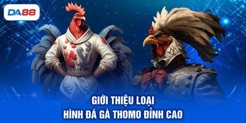 Đá Gà Thomo - Điểm Đến Hội Tụ Những Chiến Kê Bất Bại - SIBET.INFO Đá Gà Thomo - Điểm Đến Hội Tụ Những Chiến Kê Bất Bại - SIBET.INFO