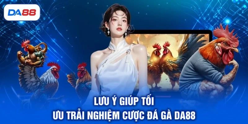 Đá Gà DA88 - Sảnh Cược Chọi Kê Trực Tiếp Đẳng Cấp Số 1 - SIBET.INFO