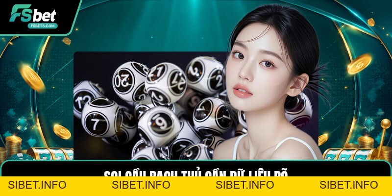 Soi Cầu Bạch Thủ - Cách Đọc Cầu Số Rõ Ràng Mỗi Ngày - SIBET.INFO