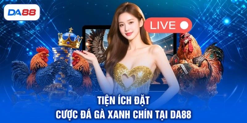 Đá Gà C2 - Giải Đấu Chuyên Nghiệp, Quy Tụ Chiến Kê Bất Bại - SIBET.INFO Đá Gà C2 - Giải Đấu Chuyên Nghiệp, Quy Tụ Chiến Kê Bất Bại - SIBET.INFO