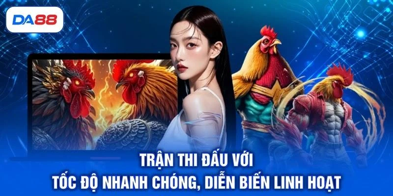 Đá Gà Thomo - Điểm Đến Hội Tụ Những Chiến Kê Bất Bại - SIBET.INFO Đá Gà Thomo - Điểm Đến Hội Tụ Những Chiến Kê Bất Bại - SIBET.INFO