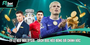 Tin Tức FSBet – Cập Nhật Thông Báo & Thông Tin Mới Nhất - SIBET.INFO