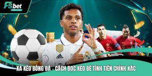 Tin Tức FSBet – Cập Nhật Thông Báo & Thông Tin Mới Nhất - SIBET.INFO